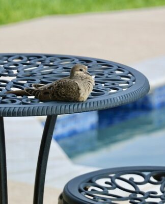 Jak dobrze wyglądać na basenie?