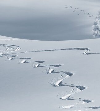 Co na wyciszenie i sen?