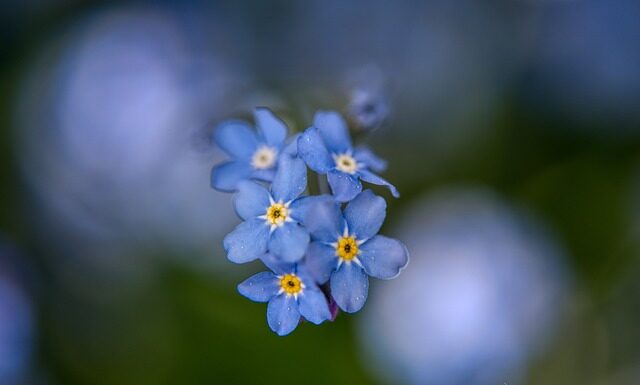 Czy Apap Noc pomaga w zasypianiu?