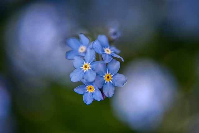 Czy Apap Noc pomaga w zasypianiu? Czy Apap Noc pomaga w zasypianiu?